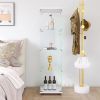 Glass Display Cabinet with 4 Shelves, Curio Cabinets for Living Room, Bedroom, Office, Black Floor Standing Glass Bookshelf, Quick Installation, 64.7*