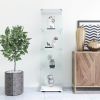 Glass Display Cabinet with 4 Shelves, Curio Cabinets for Living Room, Bedroom, Office, Black Floor Standing Glass Bookshelf, Quick Installation, 64.7*