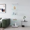 Glass Display Cabinet with 4 Shelves, Curio Cabinets for Living Room, Bedroom, Office, Black Floor Standing Glass Bookshelf, Quick Installation, 64.7*